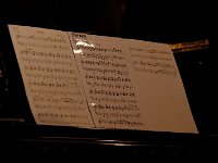 Cojellicos Jangen 16.4.2016 256